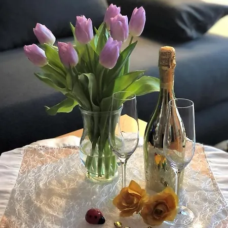 Apartment Elbidyll