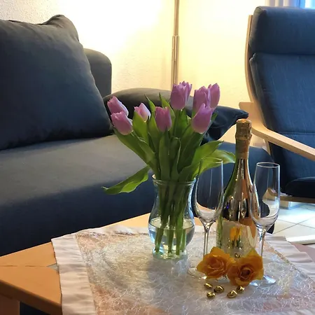 Elbidyll Apartment Magdeburg